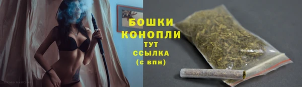 2c-b Белокуриха